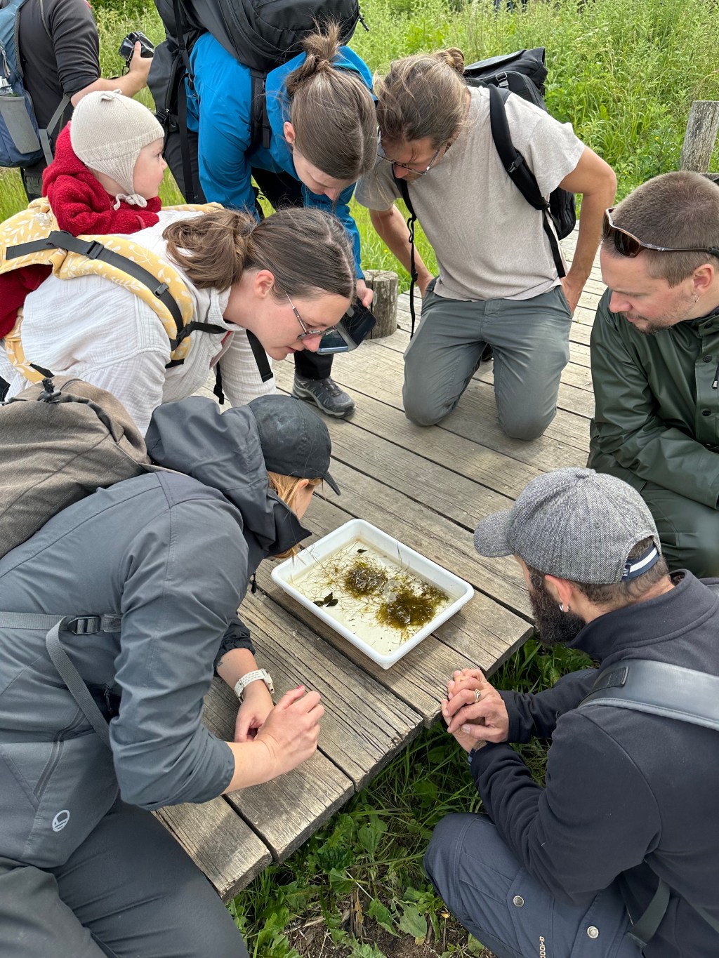 PhD summer school in&nbsp;Aarhus