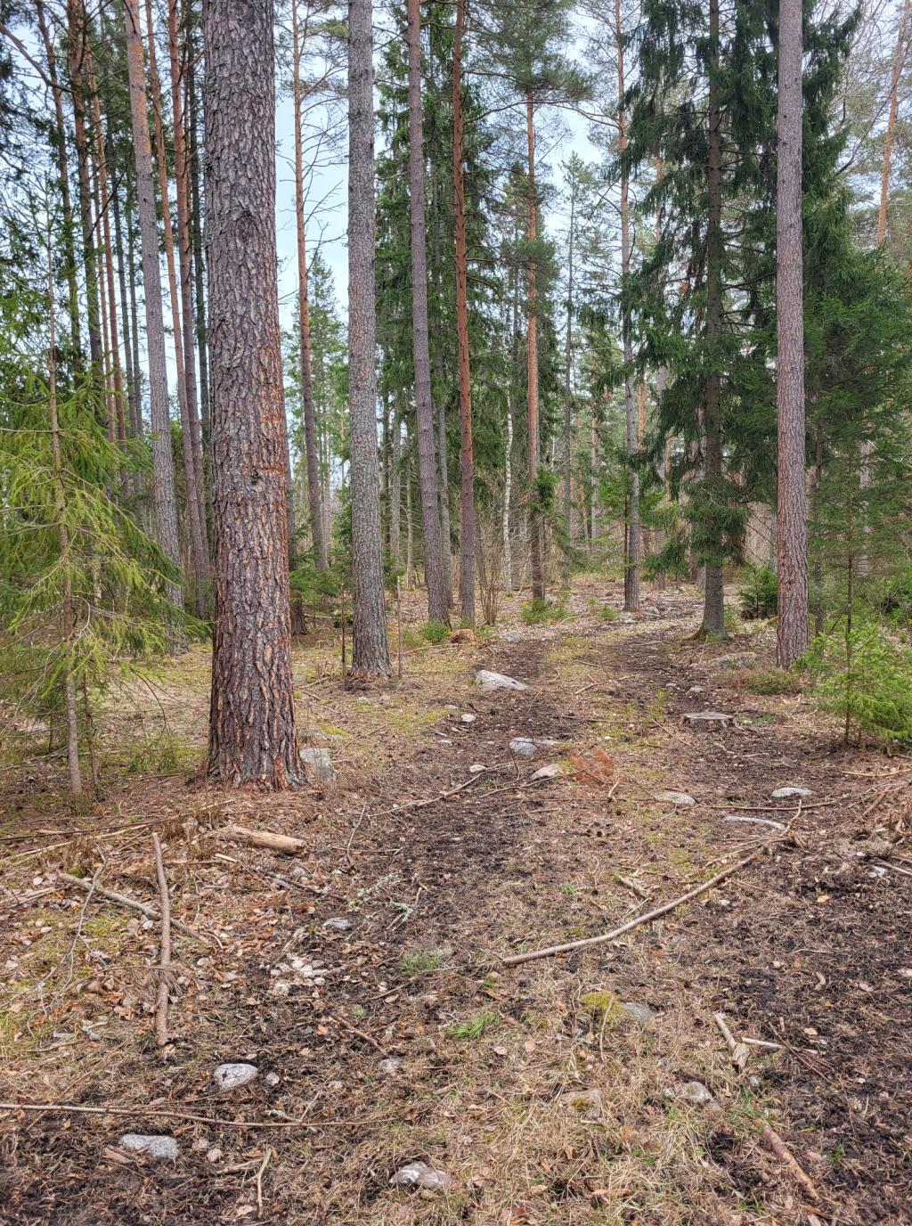 Encountering embedded potentiality